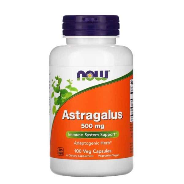Astragalus 500 mg 100 Veg Capsules