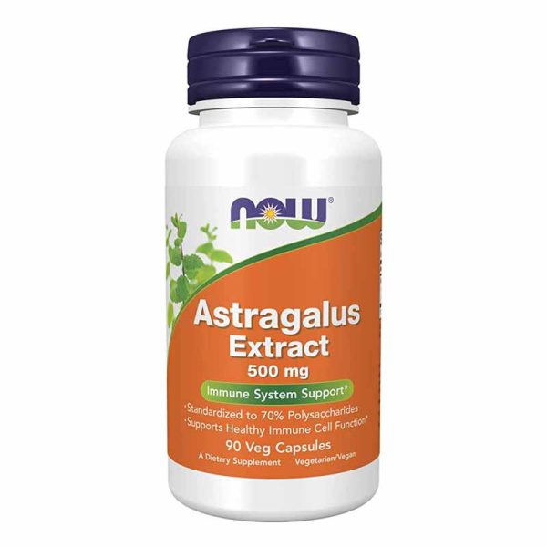 Astragalus 500 mg 90 Vegetarian Capsules
