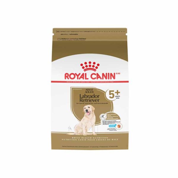 Royal Canin BHN Labrador Retriever Adult 5 Dry Dog Food